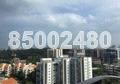 D'Leedon (D10), Condominium #167230822